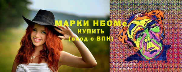 дмт Абаза