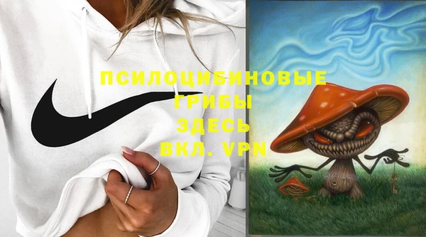 прущая мука Надым