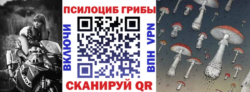 дарк нет формула  Александров  Галлюциногенные грибы GOLDEN TEACHER 