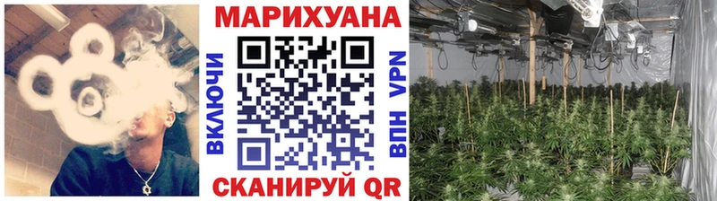 Канабис план  Александров 